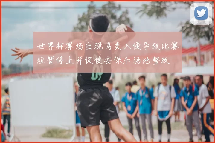 世界杯赛场出现鸟类入侵导致比赛短暂停止并促使安保和场地整改