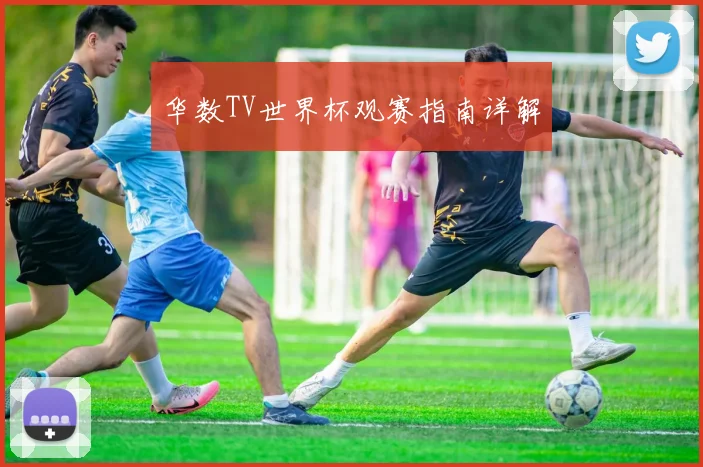 华数TV世界杯观赛指南详解