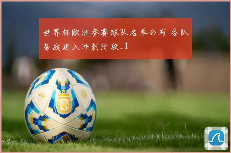 世界杯欧洲参赛球队名单公布 各队备战进入冲刺阶段_1