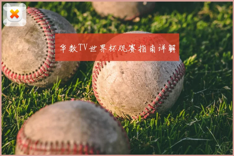 华数TV世界杯观赛指南详解