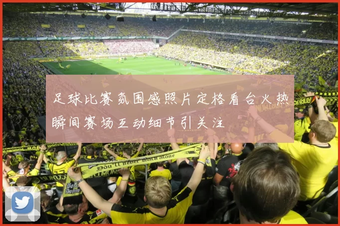 足球比赛氛围感照片定格看台火热瞬间赛场互动细节引关注