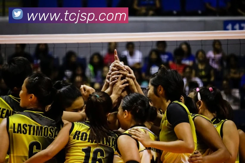 App Interface Preview